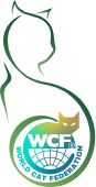 bestcat-logo-colorful